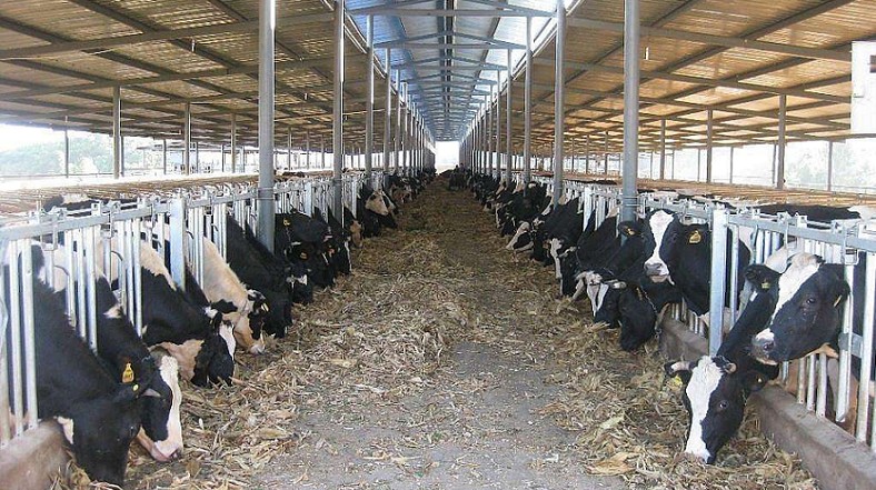 艾思捷定制款PGV035系列減速機--應(yīng)用在畜牧業(yè)、飼料行業(yè) (2).jpg